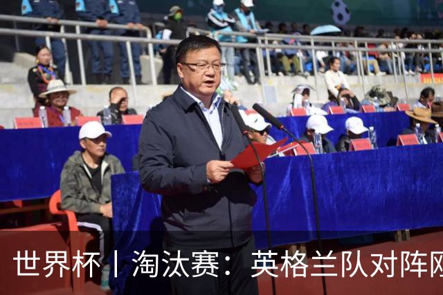 世界杯丨淘汰赛：英格兰队对阵刚果（金）队